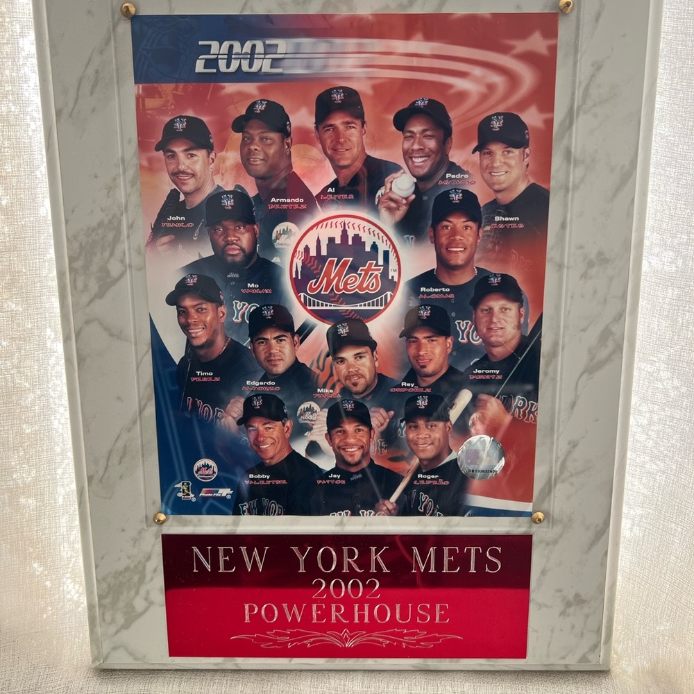 New York Mets 2002 Team Poster - Framed